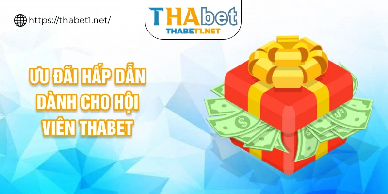 Ưu đãi hấp dẫn dành cho hội viên THABET